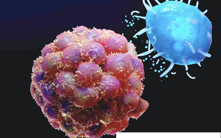Caris Life Sciences Healthcare for the future