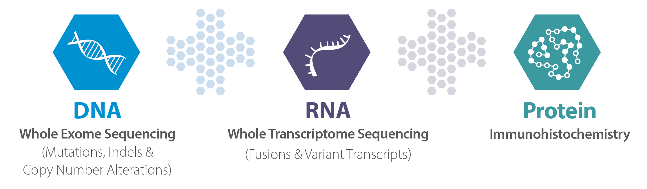 Caris Life Sciences Comprehensive Genomic Profiling