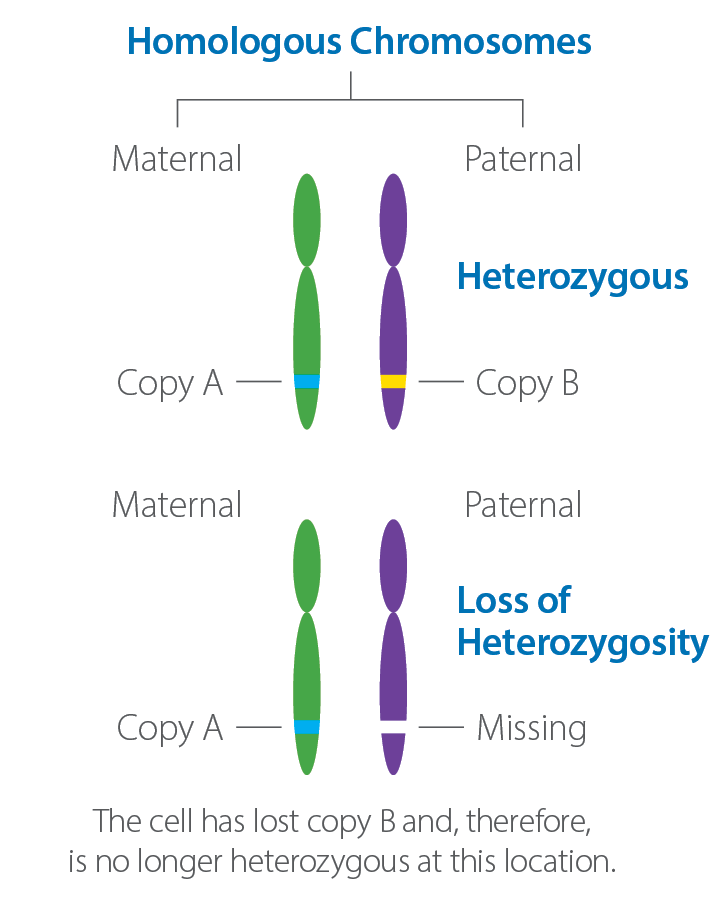 Molecular Profiling Technology Caris Life Sciences molecular-profiling-technology-caris-life-sciences