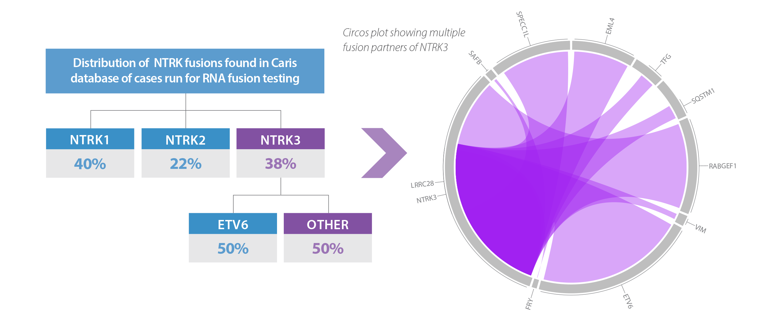 Circos plot showing multiple fusion partners of NTRK3