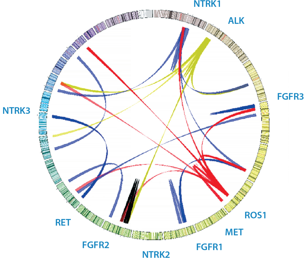 Whole Transcriptome Sequencing Circos Plot of Clinical Fusions