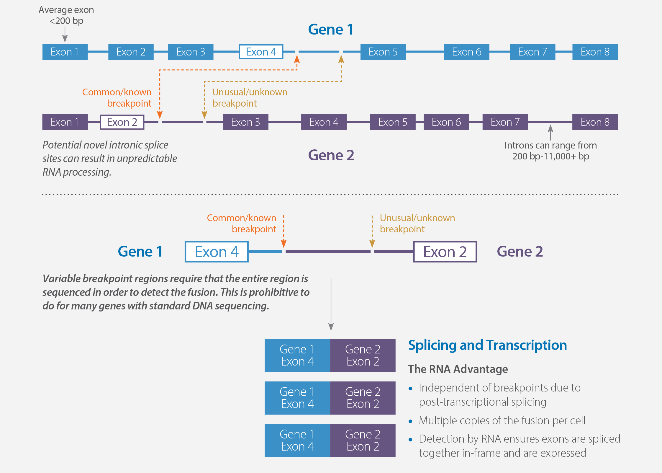 WTS Overcomes Limitations of DNA Based Fusion Analysis
