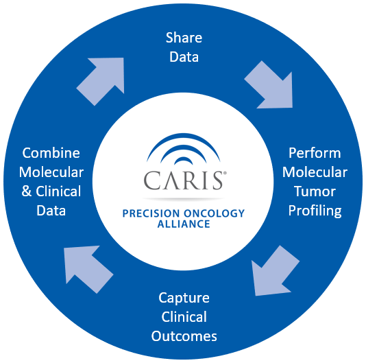 Precision Oncology Alliance Research Process