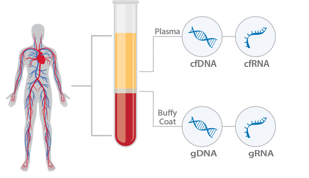 Liquid Profiling Blood Plasma Buffy Coat Testing Image