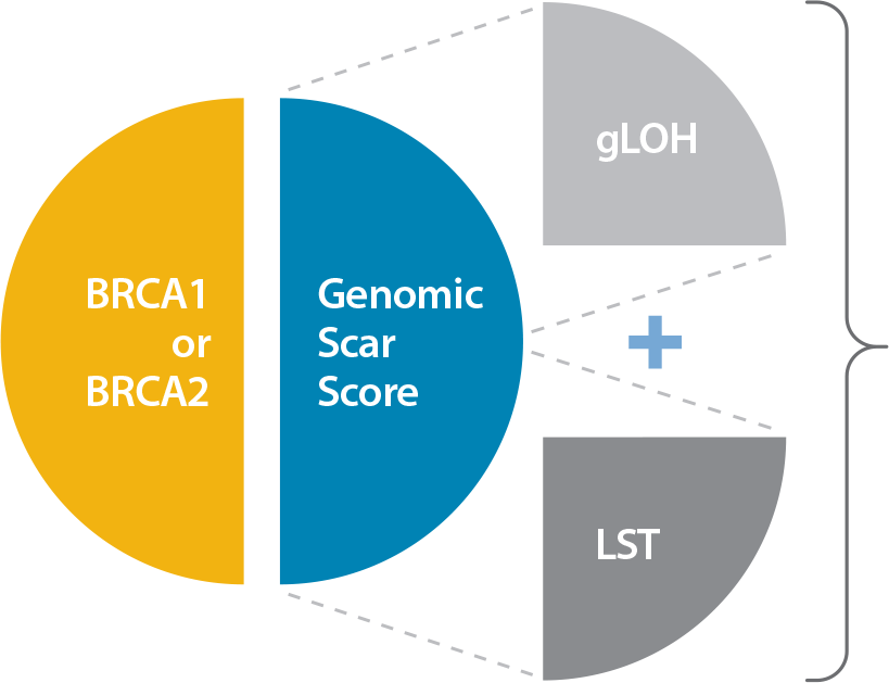 Homologous Recombination Deficiency Status Reported by Caris