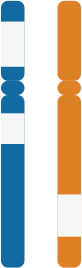 Genomic Loss of Heterozygosity | Homologous Recombination Deficiency