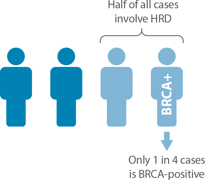 Homologous Recombination Deficiency in Ovarian Cancer Cases