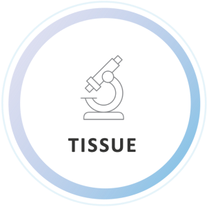 biopharma-tissue-icon.png